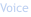 Voice
