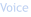 Voice